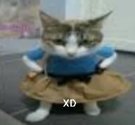 preadolentes