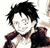 Husband Luffy