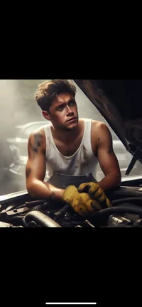 Niall the mechanic 