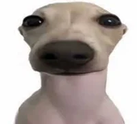 Frank