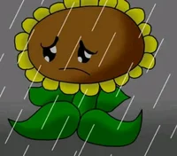 Girasol Triste 