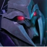 17-Megatron TFP
