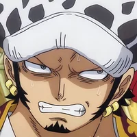Law