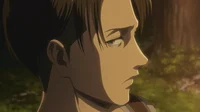 Levi Ackerman
