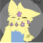 Chiptaka thefoxfurry