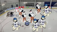 Dog hockey 