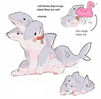Three Headed Shark
