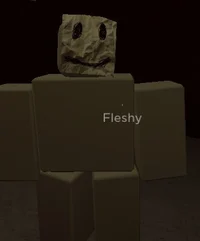 Fleshy