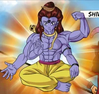 Shiva - MR