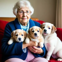 Puppy-obbsessed gran