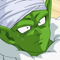 Piccolo BL