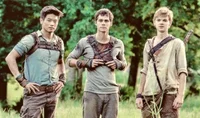 The Maze Runner