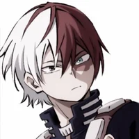 Shoto Todoroki