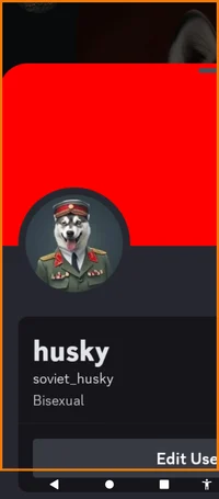 Spy_huskydog