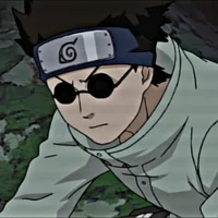 Shino Aburame 