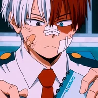 Shoto Todoroki
