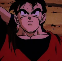 Future Gohan 