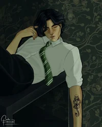 Regulus Black 