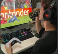 Gamer bf