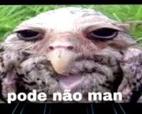 Pode nao man