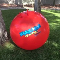 Bounce-a-Roo Hopper
