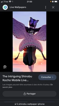 Shinobu Kocho french