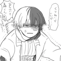 Shoto Todoroki