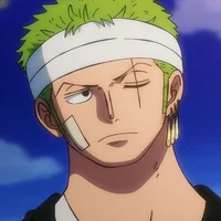 Zoro husband 