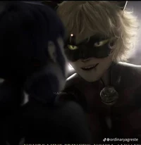 Cat Noir