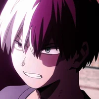 Shoto Todoroki