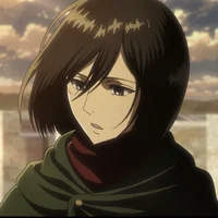 Mikasa ackerman