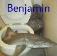 Benji