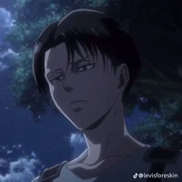 Levi Ackerman 