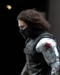 Bucky 