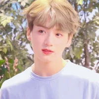 jeon jungkook