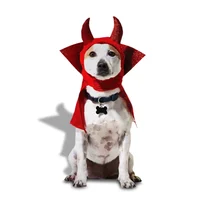 The devils dog