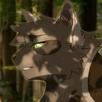 Andrew-Warrior Cats-