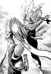 Garou vs Genos