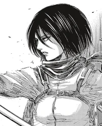 -Mikasa Ackerman