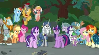 Warrior of MLP