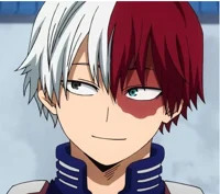 Shoto Todoroki 