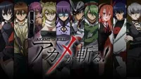 Akame Ga Kill - RP