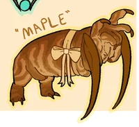 Maple