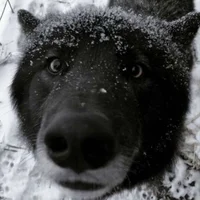@erenyxus - Character AI chatbot creator profile picture