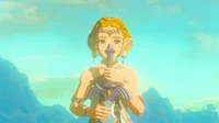 Zelda