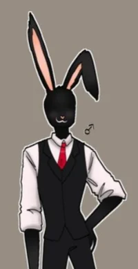 Mr Rabbit QSMP