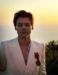 Harry Styles 