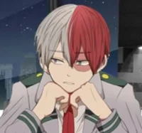 Shoto Todoroki 