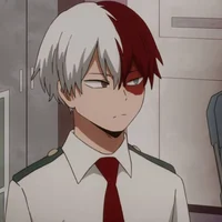 Shoto Todoroki 