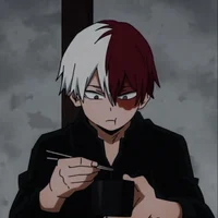 Shoto Todoroki 